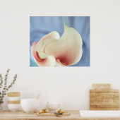 Vortex White Calla Lilies Art Print Poster (Keuken)