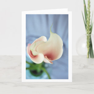 Vortex White Calla Lily Art-fotokaarten Kaart