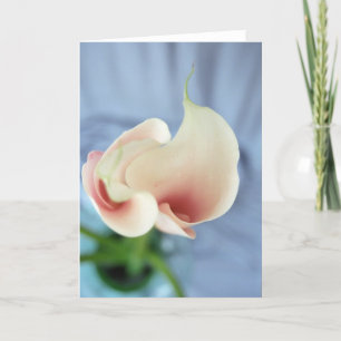 Vortex White Calla Lily Art-fotokaarten Kaart