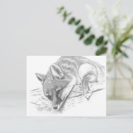 vos 59 briefkaart (Staand voorkant)