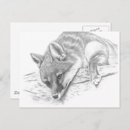 vos 59 briefkaart (Voorkant / Achterkant)