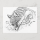 vos 59 briefkaart (Voorkant)