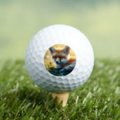 Vos bij zonsondergang golfballen (Insitu Shirt)