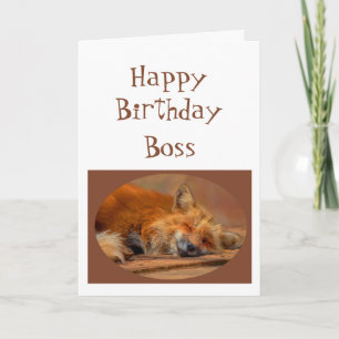 Vos Birthday Animal Humor Kaart