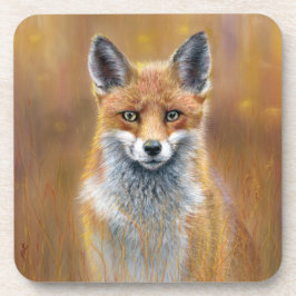 Vos coaster set.  bier onderzetter