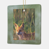 Vos Foto Ornament (Links)