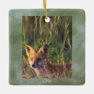 Vos Foto Ornament 