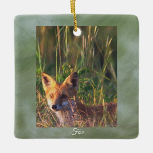 Vos Foto Ornament (Voorkant)