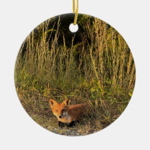 Vos Foto Ornament