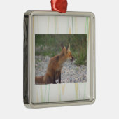Vos Foto Ornament (Rechts)