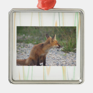 Vos Foto Ornament