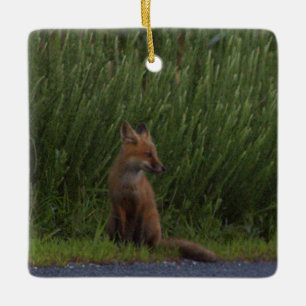 Vos Foto Ornament