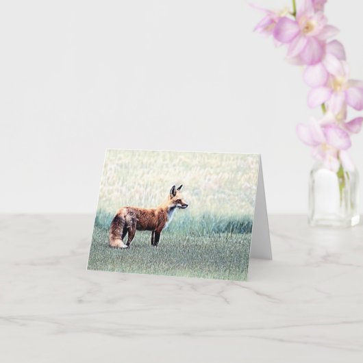 Vos in het gras - Blank Wenskaart Kaart (Orchidee)