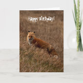 Vos in het Gras; Gelukkige Verjaardag Kaart (Voorkant)