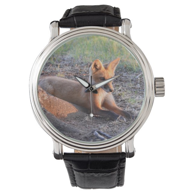 Vos in zonlicht horloge (Voorkant)