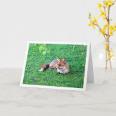 Vos Liggend op Gras Kaart (Gele Bloem)