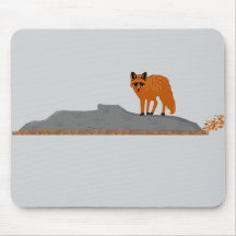 🦊 Vos op een rots