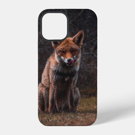VOS OP GRASVELD iPhone HOESJE (Achterkant)