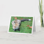 Vos op het gazon kaart (Voorkant)