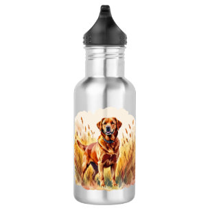 Vos rode labrador retriever hond waterfles 