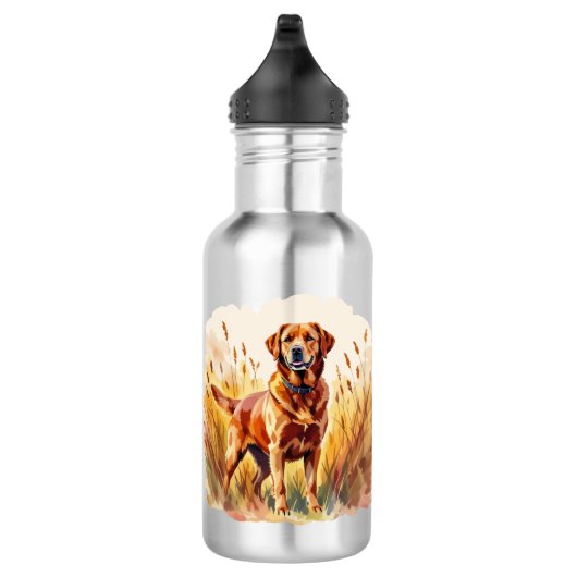 Vos rode labrador retriever hond waterfles (Rechts)