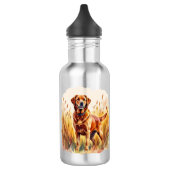 Vos rode labrador retriever hond waterfles (Links)