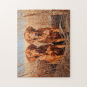 Vos rode labrador retrievers legpuzzel (Verticaal)