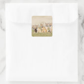 Vos Swift (Vulpes macrotis) jong bij hol, 2 Vierkante Sticker (Tas)
