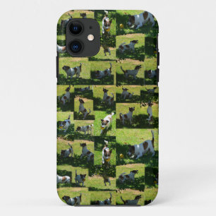 Vos Terrier, De Harde Dag, Case-Mate iPhone Case