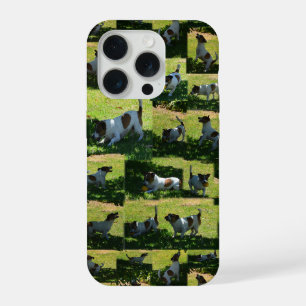 Vos Terrier Fotocollage, iPhone 15 Pro Case