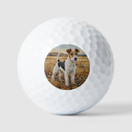 Vos Terrier Golfballen