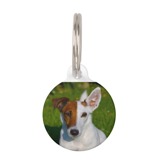 Vos Terrier Hond. Huisdierpenning (Voorkant)