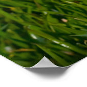 Vos Terrier Hond. Poster (Hoek)