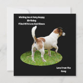 Vos Terrier op Wachtdienst, Platte Verjaardagskaar (Achterkant)