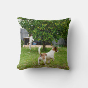 Vos Terrier Springt in een Boom Kussen