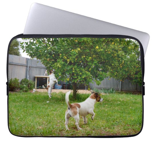 Vos Terrier Springt in een Boom, Laptop Sleeve (Voorkant)