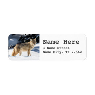 Vos Thema Retour Adres Labels