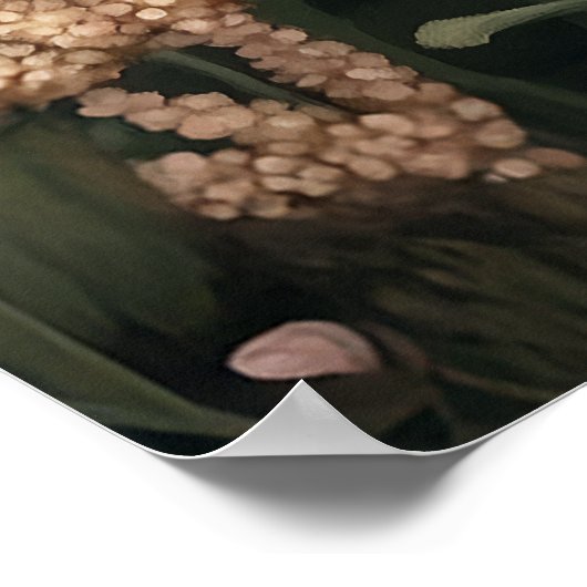 Vos tussen de voorjaarsbloei poster (Hoek)