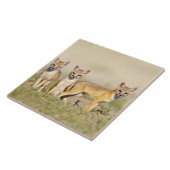 Vos (Vulpes macrotis) jong bij hol, 3 Tegeltje (Zijkant)