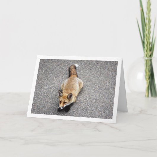 Vosje Liggend op Straat Portret Kaart (Voorkant)