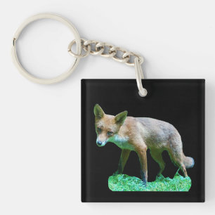 Vosjong op Mosachtig Gras Bos Natuur Wilde Dieren Sleutelhanger