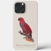 Vosmaer Eclectus Papegaai, Eclectus Roratus Vosmae Case-Mate iPhone Case (Achterkant)