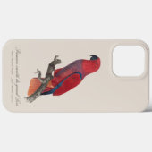 Vosmaer Eclectus Papegaai, Eclectus Roratus Vosmae Case-Mate iPhone Case (Achterkant (horizontaal))