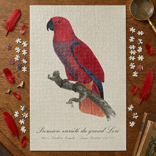Vosmaers Eclectus papegaai, Eclectus Roratus Vosma Legpuzzel
