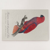 Vosmaers Eclectus papegaai, Eclectus Roratus Vosma Legpuzzel (Horizontaal)