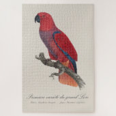 Vosmaers Eclectus papegaai, Eclectus Roratus Vosma Legpuzzel (Verticaal)