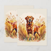 Vosrode Labrador Retriever Hond (Voorkant / Achterkant)