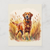 Vosrode Labrador Retriever Hond (Achterkant)
