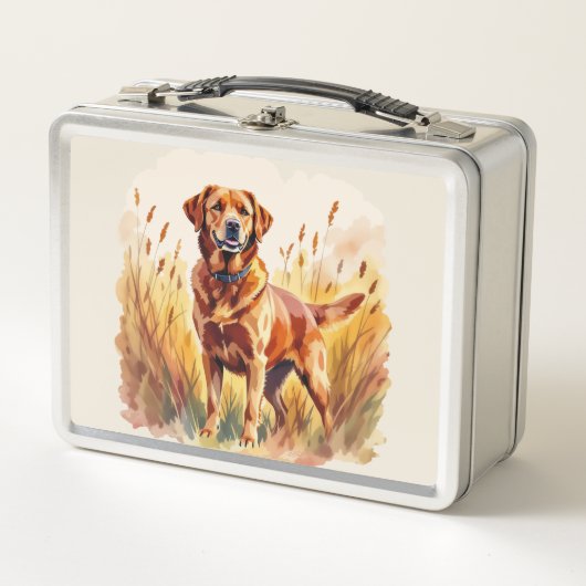 Vosrode Labradord retriever hond (Voorkant)