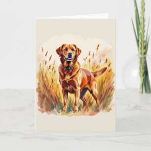 Vosrode Labradord retriever hond Kaart